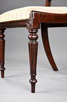 Set of 4 19th Century William IV Rosewood Dining Chairs (9 of 10) Set of 4 19th Century William IV Rosewood Dining Chairs (9 of 10)