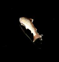 Antique Enamel Salmon Brooch, 15ct Gold, Silver (5 of 14) Antique Enamel Salmon Brooch, 15ct Gold, Silver (5 of 14)