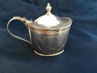 Georgian Silver Oval Mustard Pot (8 of 9) Georgian Silver Oval Mustard Pot (8 of 9)