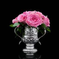 Georgian Solid Silver Loving Cup / Two Handled Cup - London 1748 (10 of 28) Georgian Solid Silver Loving Cup / Two Handled Cup - London 1748 (10 of 28)