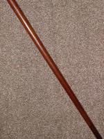 Antique Faux Ivory Pommel Topped Rosewood Walking Stick / Cane (3 of 13) Antique Faux Ivory Pommel Topped Rosewood Walking Stick / Cane (3 of 13)