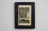 6 Framed Animal Coloured Pictures Plates C1877 Sketches from Nature - India (11 of 14) 6 Framed Animal Coloured Pictures Plates C1877 Sketches from Nature - India (11 of 14)