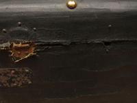 Antique Black Chest Trunk Storage Box, Steamer Trunk (7 of 13) Antique Black Chest Trunk Storage Box, Steamer Trunk (7 of 13)