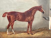 Victorian Oil Painting Chestnut Horse Portrait In Stable Signed Edwin Loder (3 of 42) Victorian Oil Painting Chestnut Horse Portrait In Stable Signed Edwin Loder (3 of 42)