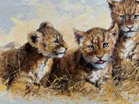 Exceptional 'pride Of Lion Cubs' Large Wildlife Oil Painting By 'silvia Duran' (4 of 12) Exceptional 'pride Of Lion Cubs' Large Wildlife Oil Painting By 'silvia Duran' (4 of 12)