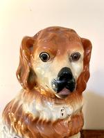 Item Additional Image