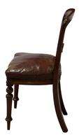 Set of 8 Good Quality Victorian Mahogany Balloon-Back Dining Chairs (7 of 8) Set of 8 Good Quality Victorian Mahogany Balloon-Back Dining Chairs (7 of 8)