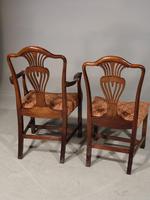 Good Set of 8 '6+2' Mahogany Framed Chairs by Marsh, Jones & Cribb (5 of 9) Good Set of 8 '6+2' Mahogany Framed Chairs by Marsh, Jones & Cribb (5 of 9)