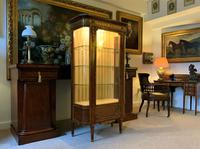 Exceptional 19th Century French Kingwood Parquetry Gilt Metal Vitrine Display Cabinet (7 of 17) Exceptional 19th Century French Kingwood Parquetry Gilt Metal Vitrine Display Cabinet (7 of 17)