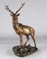 Stunning 19th Century French Bronze Sculpture of Stag, Signed J.E.Masson (2 of 10) Stunning 19th Century French Bronze Sculpture of Stag, Signed J.E.Masson (2 of 10)