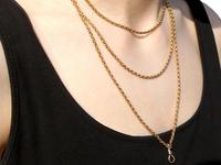 9ct Yellow Gold Longuard Chain - Antique c.1890 (9 of 12) 9ct Yellow Gold Longuard Chain - Antique c.1890 (9 of 12)