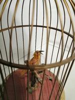 French Style 'singing Bird' Automaton (2 of 7) French Style 'singing Bird' Automaton (2 of 7)
