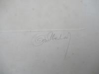 Original print, drypoint engraving, Study of a Fox Cub, indistinctly signed, c1930 (4 of 6) Original print, drypoint engraving, Study of a Fox Cub, indistinctly signed, c1930 (4 of 6)