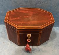 Georgian Hexagonal Mahogany Twin Section Tea Caddy with Inlay (2 of 18) Georgian Hexagonal Mahogany Twin Section Tea Caddy with Inlay (2 of 18)