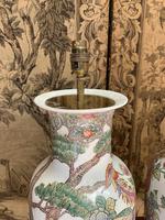 Pair of Early 20th Century Chinese Painted Lamps (3 of 5) Pair of Early 20th Century Chinese Painted Lamps (3 of 5)