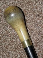 Antique Bovine Horn Handled Ebony Walking Stick With Gold Plate Collar (7 of 11) Antique Bovine Horn Handled Ebony Walking Stick With Gold Plate Collar (7 of 11)