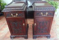 Rare Pair of Mahogany Adams Style Pot Cupboards 1820 (10 of 10) Rare Pair of Mahogany Adams Style Pot Cupboards 1820 (10 of 10)