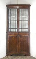 19th Century Antique Oak Glazed Corner Cupboard (9 of 10) 19th Century Antique Oak Glazed Corner Cupboard (9 of 10)