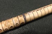 Shark Vertebrae “swagger” Stick (4 of 12) Shark Vertebrae “swagger” Stick (4 of 12)