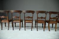 6 William IV Walnut Dining Chairs (6 of 9) 6 William IV Walnut Dining Chairs (6 of 9)