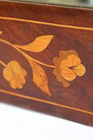 19th Century Dutch Inlaid Mahogany Mirror (13 of 13) 19th Century Dutch Inlaid Mahogany Mirror (13 of 13)