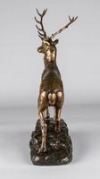 Stunning 19th Century French Bronze Sculpture of Stag, Signed J.E.Masson (4 of 10) Stunning 19th Century French Bronze Sculpture of Stag, Signed J.E.Masson (4 of 10)