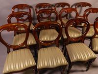 Set of 12 Victorian Mahogany Balloon Back Dining Chairs fully restored (10 of 11) Set of 12 Victorian Mahogany Balloon Back Dining Chairs fully restored (10 of 11)