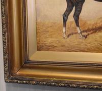 Monarch, Oil Painting of a Horse by William Eddowes Turner (6 of 8) Monarch, Oil Painting of a Horse by William Eddowes Turner (6 of 8)