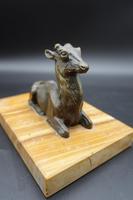 Well Modelled Early 20th Century Continental Bronze Model of a Recumbent Goat (3 of 5) Well Modelled Early 20th Century Continental Bronze Model of a Recumbent Goat (3 of 5)