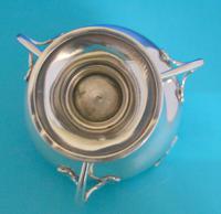 Art Nouveau Silver Mustard (7 of 7) Art Nouveau Silver Mustard (7 of 7)