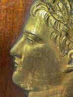 Pair of Interesting 19th Century Gilded Bronze Alexander The Great & Napoleon Cameo Plaques (17 of 29) Pair of Interesting 19th Century Gilded Bronze Alexander The Great & Napoleon Cameo Plaques (17 of 29)