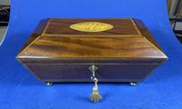 Regency Sarcophagus Mahogany Box with Shell Inlay. (7 of 12) Regency Sarcophagus Mahogany Box with Shell Inlay. (7 of 12)