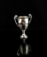 Vintage Sterling Silver Trophy Cup, Art Deco (2 of 9) Vintage Sterling Silver Trophy Cup, Art Deco (2 of 9)