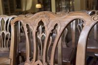 10 Chippendale style Mahogany Dining Chairs (3 of 5) 10 Chippendale style Mahogany Dining Chairs (3 of 5)