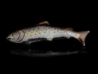 Antique Enamel Salmon Brooch, 15ct Gold, Silver (9 of 14) Antique Enamel Salmon Brooch, 15ct Gold, Silver (9 of 14)
