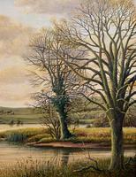 Fishing The River Ouse - Lovely Vintage North Yorkshire Riverscape Oil Painting (4 of 12) Fishing The River Ouse - Lovely Vintage North Yorkshire Riverscape Oil Painting (4 of 12)
