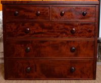 Cuban Mahogany Chest of Drawers 19th Century (14 of 14) Cuban Mahogany Chest of Drawers 19th Century (14 of 14)