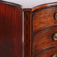 Scottish Mahogany Serpentine Chest (4 of 8) Scottish Mahogany Serpentine Chest (4 of 8)