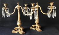 Pair of Good Quality Antique Gilt Brass & Crystal Drop Neo Classical Two Branch Candelabra (6 of 8) Pair of Good Quality Antique Gilt Brass & Crystal Drop Neo Classical Two Branch Candelabra (6 of 8)