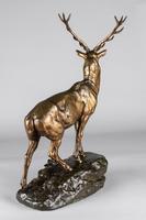 Stunning 19th Century French Bronze Sculpture of Stag, Signed J.E.Masson (7 of 10) Stunning 19th Century French Bronze Sculpture of Stag, Signed J.E.Masson (7 of 10)