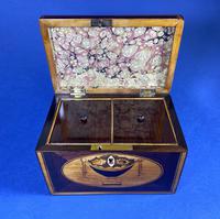 18th Century Kingwood Twin Tea Caddy With Inlay (16 of 16) 18th Century Kingwood Twin Tea Caddy With Inlay (16 of 16)