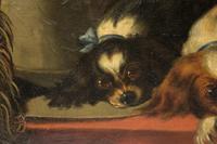 After Landseer - King Charles Spaniels - Oil on Canvas - Early 20thc (2 of 4) After Landseer - King Charles Spaniels - Oil on Canvas - Early 20thc (2 of 4)