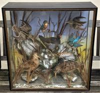 Taxidermy Edwardian Case of 7 Birds Inc: Kingfisher, Snipe, Moorhen & Woodcock (12 of 15) Taxidermy Edwardian Case of 7 Birds Inc: Kingfisher, Snipe, Moorhen & Woodcock (12 of 15)
