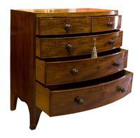 Regency Period Mahogany Bow-fronted Chest (2 of 7) Regency Period Mahogany Bow-fronted Chest (2 of 7)