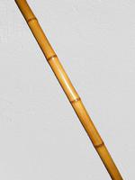 Antique Bamboo Burr Root Gadget Angling / Walking Cane With Concealed Fishing Rod (8 of 13) Antique Bamboo Burr Root Gadget Angling / Walking Cane With Concealed Fishing Rod (8 of 13)
