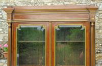 19th Century French Directoire Style Mahogany Bookcase Cabinet (3 of 11) 19th Century French Directoire Style Mahogany Bookcase Cabinet (3 of 11)