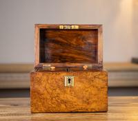 Burr Walnut Tea Caddy 1870 (9 of 10) Burr Walnut Tea Caddy 1870 (9 of 10)