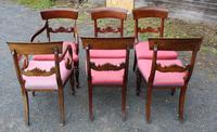Set of 6 Mahogany Regency Barback Pink Dining Chairs (3 of 4) Set of 6 Mahogany Regency Barback Pink Dining Chairs (3 of 4)