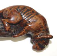 Good Carved Boxwood Novelty Parasol Handle of Tiger Glass Eyes c.1900 (7 of 8) Good Carved Boxwood Novelty Parasol Handle of Tiger Glass Eyes c.1900 (7 of 8)