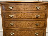 Burr Walnut Bow Front Chest (10 of 12) Burr Walnut Bow Front Chest (10 of 12)